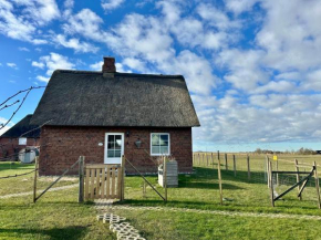 Haus Treibsel